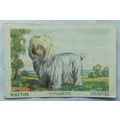 Australian Vitabrits Weeties Tailwaggers 34 Syd...