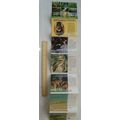 Australian Wildlife. A Pictorial Story Folder