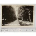 vintage postcard Lime Tree Avenue, The Dukeries