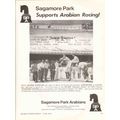 sagamore park arabians 1972 jayess rykstan raci...