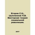 Egorov S.N., Tsyplenkov P.V. Vector Theory of the Social Revolution. In Russia