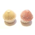 Garden Bird Food Wild Bird Seed and Suet Cupcak...