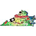 Virginia The Old Dominion State Decowood Jumbo ...