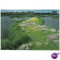 London - Barnes London Wetland Centre main lake...