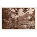 In Letham Glen Leven Postcard RP Fife J B White...