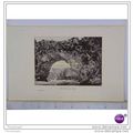 LE PONT DE L'ARC, CEVENNES, FRANCE, Book Illust...