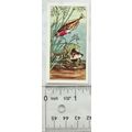 Choicest Tips Tea card Pond Life No. 11 Stickle...