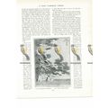 Boney's Meditation on St Helena, Cruikshank, Bo...