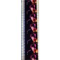 Jimi Hendrex. Pk MTP - d087i . 1 STRIP OF 5 - 3...