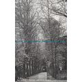 R137930 The Avenue. Stratford Upon Avon Church....