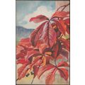 Virginia Creeper, c.1920s - Postcard