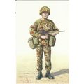 Lance Corporal The Royal Regiment Of Wales 24th...