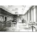 London - School of Hygiene & Tropical Medicine ...