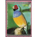 EQUITORIAL GUINEA, BIRDS, Diamond pardelote, pi...