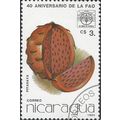 NICARAGUA, PLANT, Pitahaya, white 1986, $3