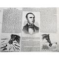 The American Horse-Tamer, Mr. J. S. Rarey - Fra...