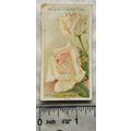 1926 Wills Roses No. 37 Mrs. Charles Lamplough