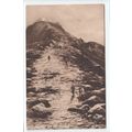 Summit of Snowdon Postcard Elmeresque Series 184
