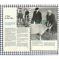 (7681) John & Eliza Forder Dent Herbert & Ennis...