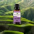 Palmarosa Essential Oil Plant Therapy Organic -...