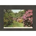 Postcard Scotland Berwickshire Coldstream Dundo...