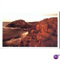 FDI Postcard 1994 - Giant's Causeway N. Ireland...