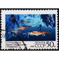 Russia. 1990 50k S.G.6152 Used