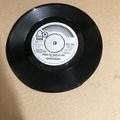 SHOWADDYWADDY - Under the moon of love -Lookin'...