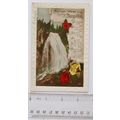 1931 postcard Birthday Wishes To My Darling Dau...