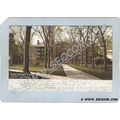 CT Middletown Postcard North College Undivided ...