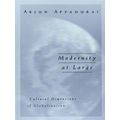 Modernity At Large
