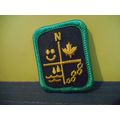 Girl Scouts Merit Badge Patch Brownies Guides