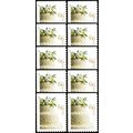 Wedding Invitation Cake One PACK of TEN 66 Cent...