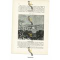 Corfu, Greece, Book Illustration (Print), 1880