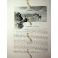 Capo Corso, Corsica, France, Book Illustration ...