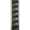 NOTORIOUS. Pk MTP - b030D. 1 STRIP OF 5 - 35MM ...
