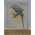 1935 John Player & Sons Aviary & Cage Birds 13 ...