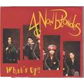 CD 12" 4 Non Blondes - What's up?