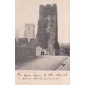 ED 371 PAIGNTON - PALACE TOWER . PRINTED POSTCARD