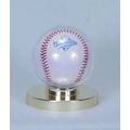 Collector Safe Baseball Holder w/Gold Base (Qty...