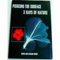 Piercing The Surface