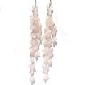 Sterling Silver Rainbow Moonstone Long Dangle E...