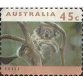 AUSTRALIA, MAMMAL, Koala, Phascolarctos cinereu...