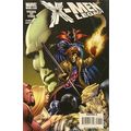 X-Men (Legacy) (Vol 1) # 213 NM MODERN AGE COMICS