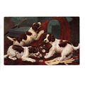 ARTIST DRAWN POSTCARD BY B.COBBE DOGS WITH PURS...