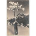 Winterstudie, 1929 - Conrad Zisler Foto-AK