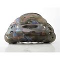 Abalone sea shell effect hair claw clamp clip