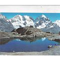 Piz Bernina und Piz Roseg Switzerland Postcard ...