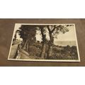 1950s Postcard - Leigh-On-Sea scene -Nr Southen...