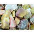 Tumbled Rainbow Petrified Wood Gemstone Cabbing...